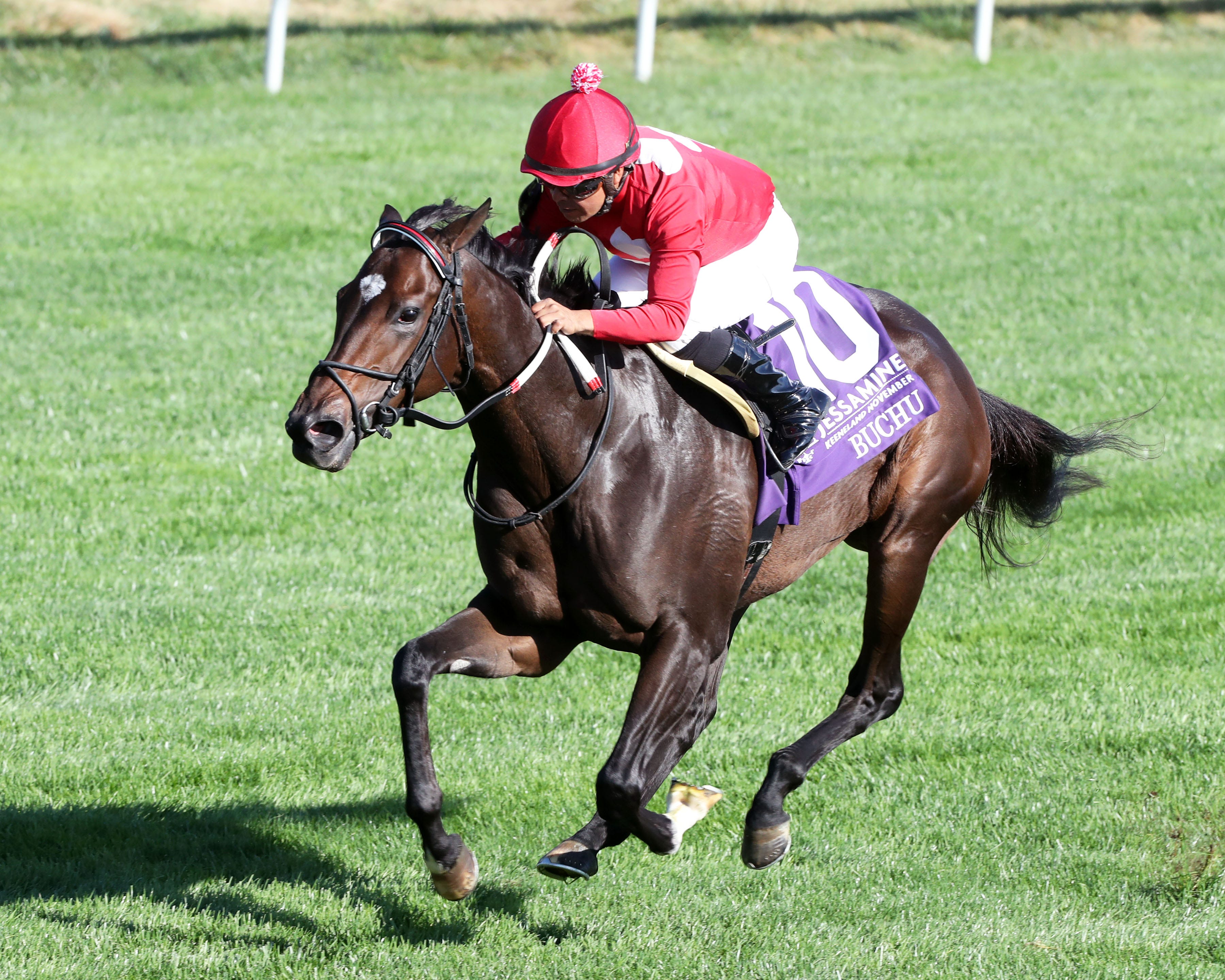 Breeders' Cup Juvenile Fillies Turf: Bucho Guaranteed Spot In Overflow ...